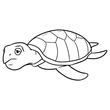 Kaplumbağa çizimi izole edilmiş vektör