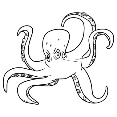 ahtapot çizimi izole edilmiş vektör