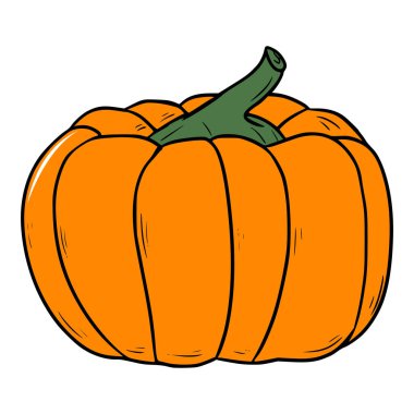 Büyük kabak çizimi izole vektörü