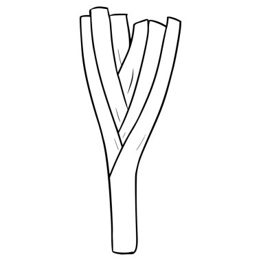 Pırasa çizimi izole edilmiş vektör ana hatları