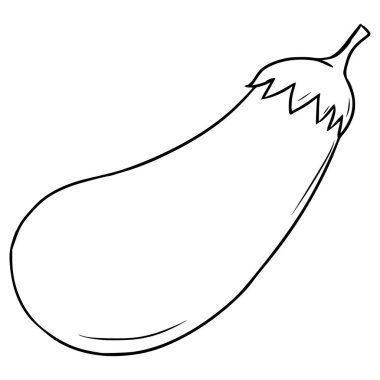 taze patlıcan çizimi izole edilmiş vektör