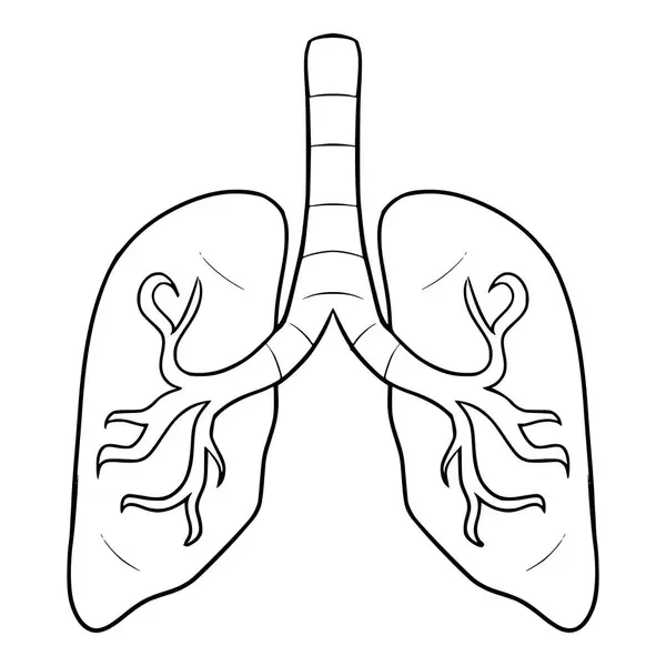 Akciğer çizimi izole edilmiş vektör
