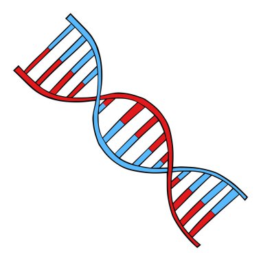 DNA ipliği el çizimi izole edilmiş vektör