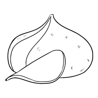 jicama illüstrasyon eli izole edilmiş vektörü çizer