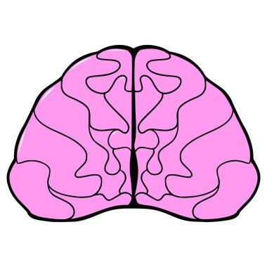 Beyin çizimi elle izole edilmiş vektör