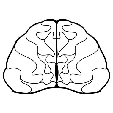 Beyin çizimi el çizimi izole vektör