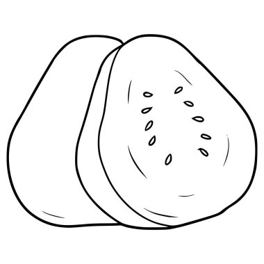 guava illüstrasyon el çizimi izole vektör