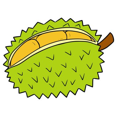 kral meyve durian illüstrasyon el izole vektör çizdi
