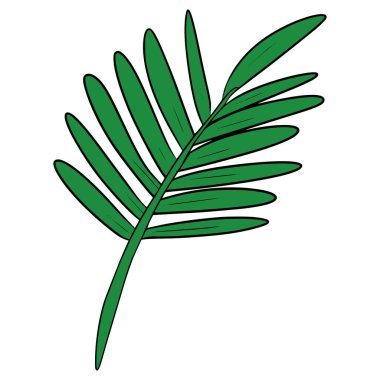 Palmiye yaprağı çizimi el izole vektörü