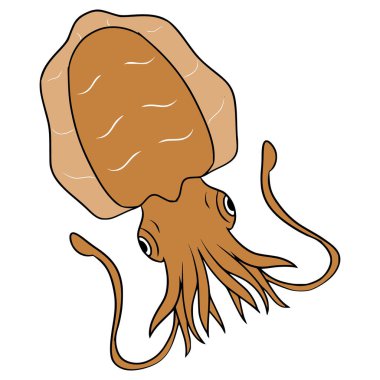 Mürekkep balığı illüstrasyonu el çizimi izole vektör