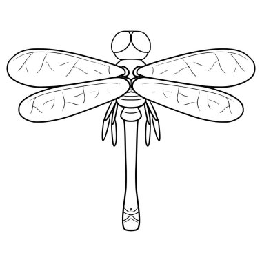Yusufçuk çizimi el çizimi ana hat vektörü