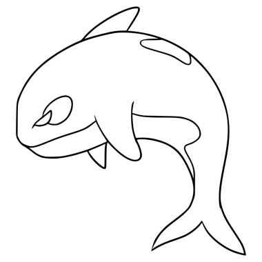 Orca illüstrasyon el çizimi ana hat vektörü