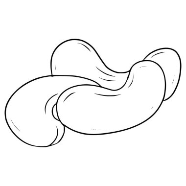 kaju fıstığı çizimi el çizimi taslak vektör