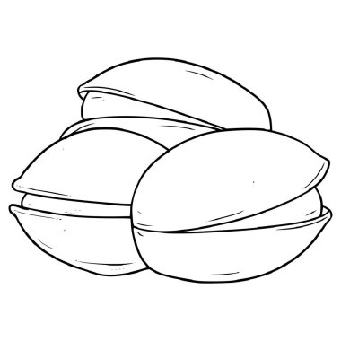 Fıstık fıstığı çizimi el çizimi taslak vektör