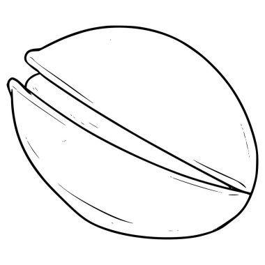 Fıstık fıstığı çizimi el çizimi taslak vektör