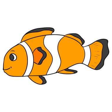 palyaço balığı çizimi elle izole edilmiş vektör