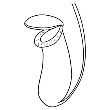 Çizim el çizimi taslak vektörü gerektiriyor