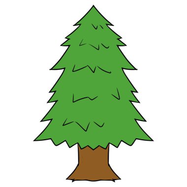 Köknar ağacı çizimi elle izole edilmiş vektör