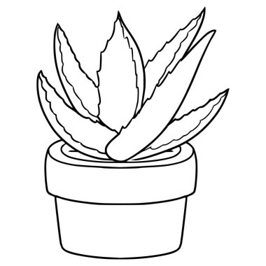 aloe vera illüstrasyon el çizimi ana hat vektörü