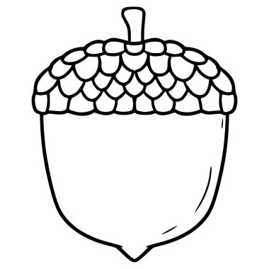 palamut illüstrasyon el çizimi ana hat vektörü