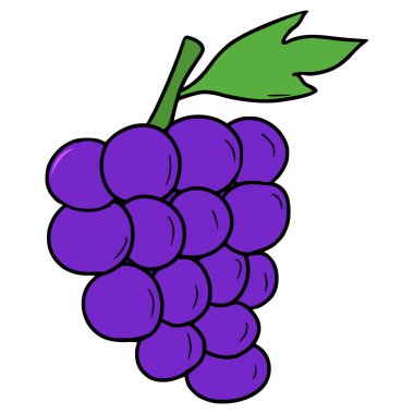 Üzüm çizimi elle izole edilmiş vektör