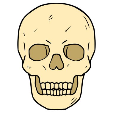 kafatası çizimi el izole vektörü