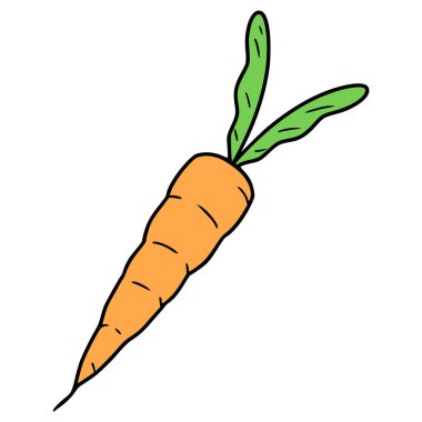 Havuç çizimi elle izole edilmiş vektör