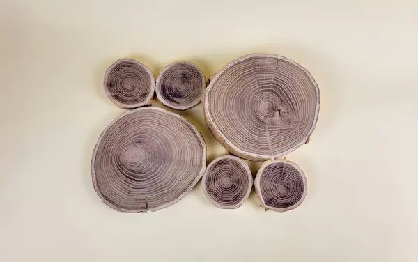 stock image Wood slices in different size