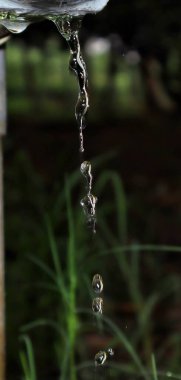 Su damlacıkları, sıvı taşlar gibi parıldıyor, ışığı yakalıyor ve dünyayı minyatür olarak yansıtıyor. Her damla, küçük bir lens, doğanın narin ve geçici güzelliğini gösteren bir evreni ortaya çıkarır..