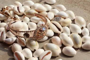 Seashell Jewels: Nature's Masterpiece clipart