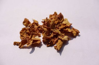 Beyaz arkaplanda curcuma zedoaria christm roscoe