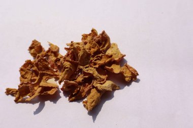 Beyaz arkaplanda curcuma zedoaria christm roscoe