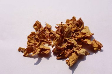 Beyaz arkaplanda curcuma zedoaria christm roscoe