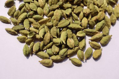 Kakule beyaz arka planda yakın planda