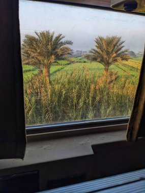 Uyuyan bir trenin penceresinden Mısır manzarasının pitoresk bir görüntüsü.