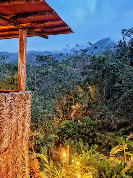 Kolombiya 'daki Tayrona Ulusal Parkı' nın gür ve canlı ormanları tropik bir cennet sunuyor..