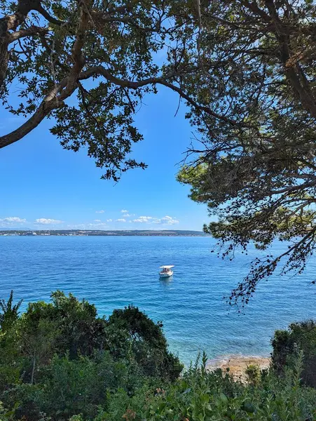 Hırvatistan 'ın Zadar kenti yakınlarındaki bir adanın, ağaçlar ve doğa ile çevrili güzel mavi deniz manzarası..
