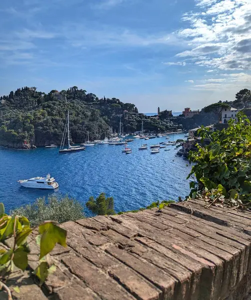 Bereketli yeşil tepeler ve pırıl pırıl Akdeniz ile çevrili ikonik Portofino limanının geniş bir manzarası..