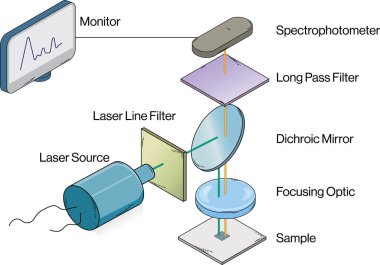 Raman Spektroskopisi ve Bilimsel Araştırma, Analitik Kimya ve Beyaz Arkaplan Laboratuar Ekipmanı 'nın Detaylı ve Etiketli Bilim Vektörü İllüstrasyonu