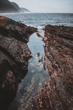Bu çarpıcı fotoğraf, engebeli kayaların arasına kurulmuş temiz bir gelgit havuzu yakalıyor, arkasında da engin bir okyanus var. Doğa ve deniz meraklıları için ideal, el değmemiş sahil çevresini gözler önüne sermek..