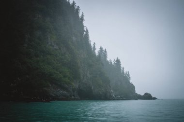 Alaska 'nın sisli kıyı şeridinde, yemyeşil tepelerin sakin, turkuaz sularla buluştuğu sakin bir manzara. Doğal güzellik ve dinginliği vurgulayan projeler için mükemmel..