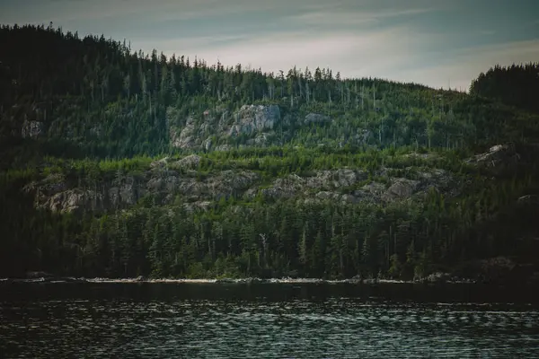 Bu fotoğraf, Alaska 'nın vahşi doğasının engebeli güzelliğini yansıtıyor. Kayalık tepeler ve yoğun ormanlar, canlı gökyüzünün arka planına karşı sergileniyor. Doğa, seyahat ve macera stoku görüntüleri için mükemmel..