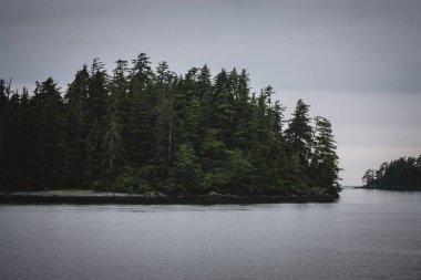 Alaska kıyılarındaki yemyeşil, ağaçlarla kaplı bir adanın huzurlu manzarası, seyahat içeriği, doğa belgeselleri ve çevresel projeler için mükemmel Alaska 'nın el değmemiş doğasının güzelliğini gösteriyor..
