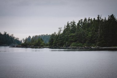 Alaska 'nın el değmemiş ve sakin kıyı şeridi yoğun orman ve sakin sular, doğa, seyahat ve çevre projeleri için ideal Alaska manzaralarının el değmemiş güzelliğini vurguluyor..