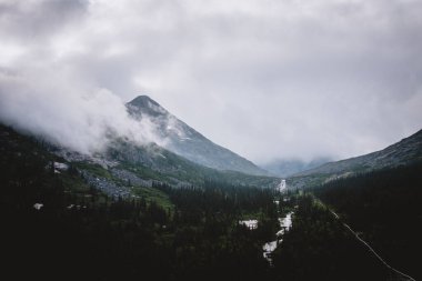 Büyüleyici bir vadi sisle kaplı ve yemyeşil ormanlarla kaplı seyahat içeriği, doğa belgeselleri ve sakin manzara manzaraları için mükemmel..
