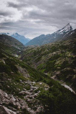 Bu nefes kesici görüntü, bereketli yeşilliği ve karla kaplı dağlarıyla Britanya Kolumbiyası 'nın görkemli vadisini yakalıyor. Doğanın ham ve el değmemiş güzelliğini gözler önüne sermek için mükemmel..