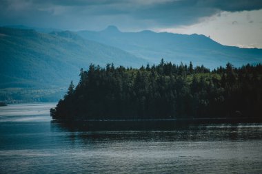 Alaska 'nın sakin fiyortları boyunca uzanan yoğun, zümrüt ormanların çarpıcı manzarası dokunulmamış vahşi doğanın ve sakin manzaraların özünü yakalıyor, doğa temalı stok fotoğrafçılığı için mükemmel..