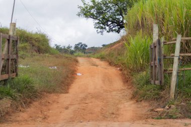 Vietnam kırsalındaki toprak yol.