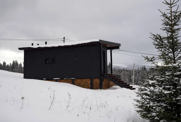 Zwarte Houten Hut Dennenbos Bij Sneeuwweer — Stockfoto