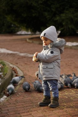 Kışın parkta güvercinleri besleyen sevimli bir çocuk.